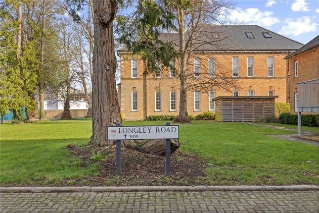 1 bed flat