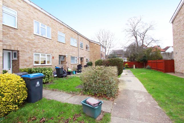 3 bed terraced house