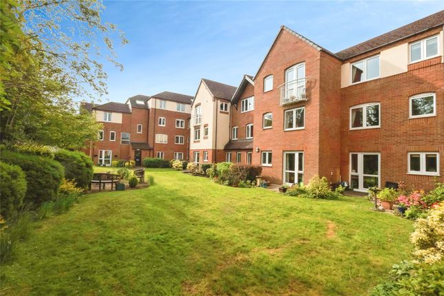 1 bed flat
