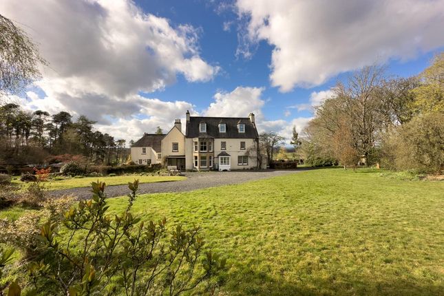 6 bed semi-detached house
