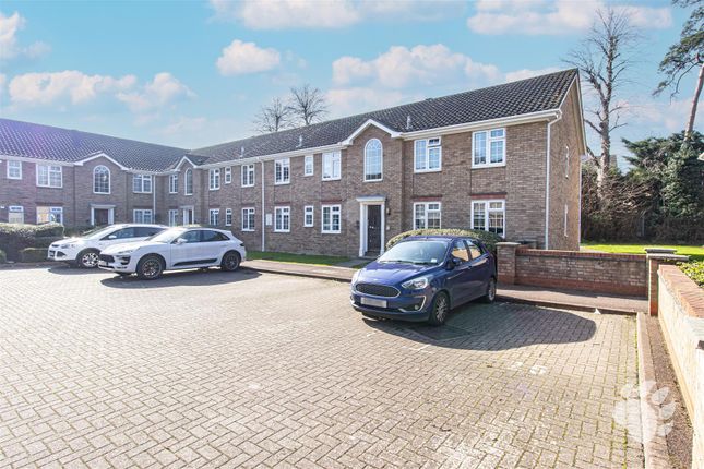 1 bed flat