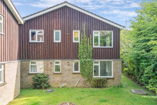 1 bed flat
