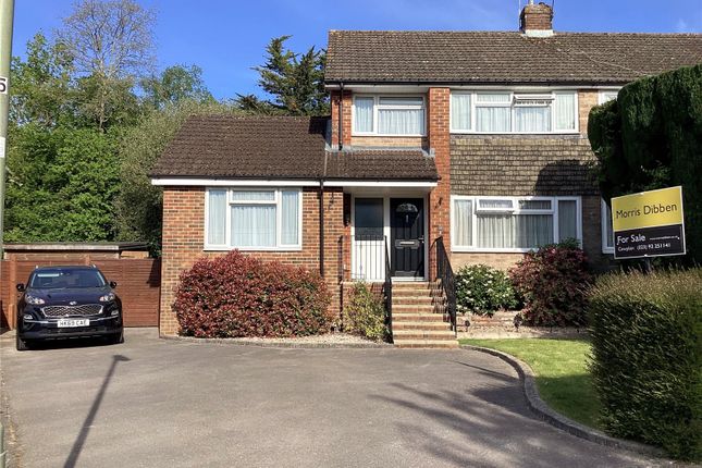 4 bed semi-detached house
