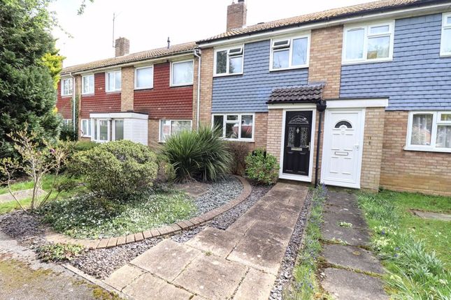 3 bed terraced house