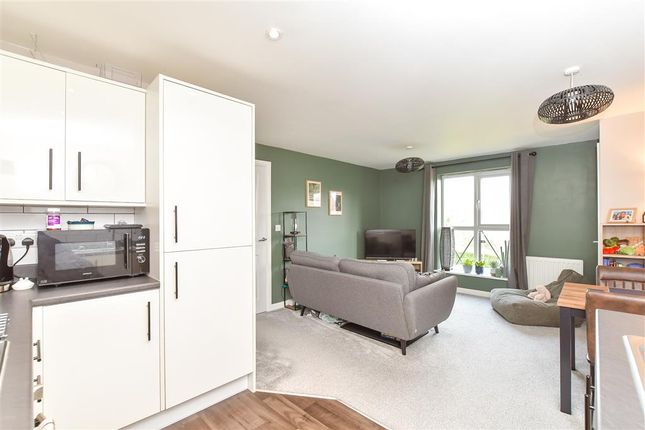 1 bed flat
