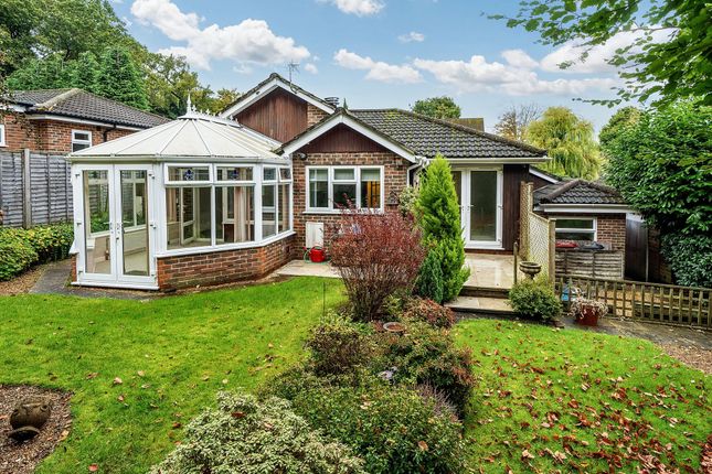 Carron Lane, Midhurst, GU29 3 bed detached bungalow for sale
