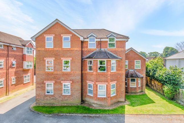 1 bed flat