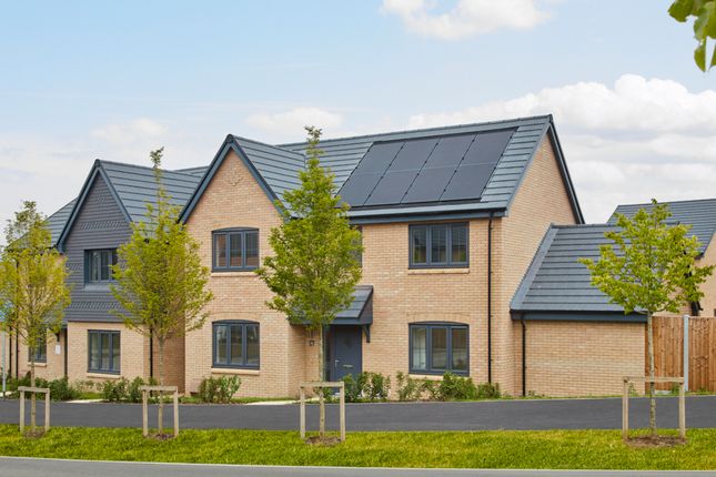 The Lily at Maltings Place at St... 4 bed detached house for sale