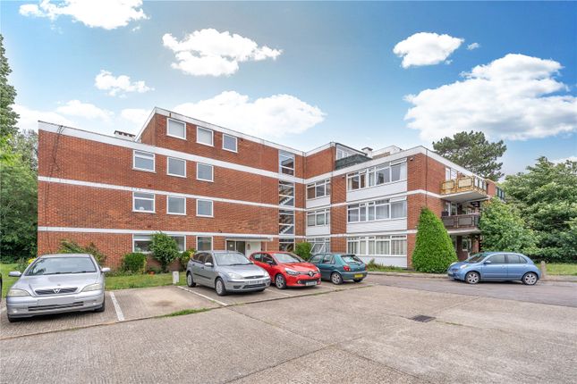 1 bed flat