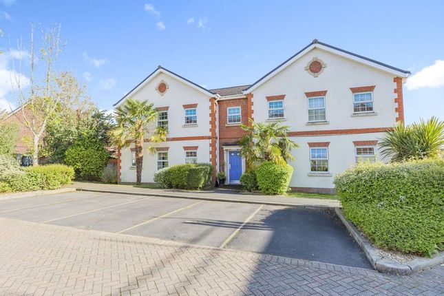 2 bed flat