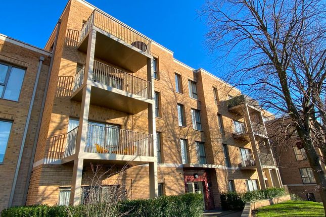 1 bed flat