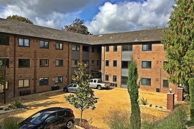 1 bed flat