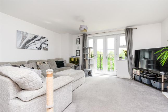 1 bed flat