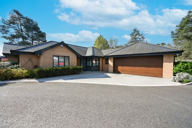 Poppy Close, Ashley Heath, Ringwood... 4 bed bungalow for sale