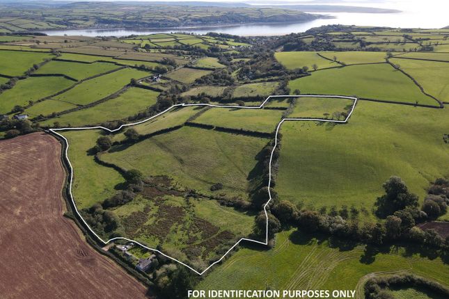 Llanybri, Carmarthen, SA33 Smallholding for sale