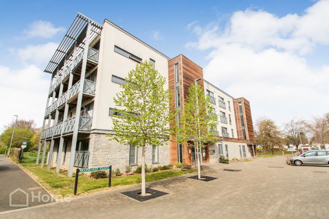 1 bed flat