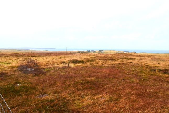 Land