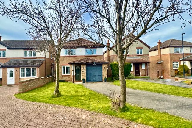 3 bed detached house
