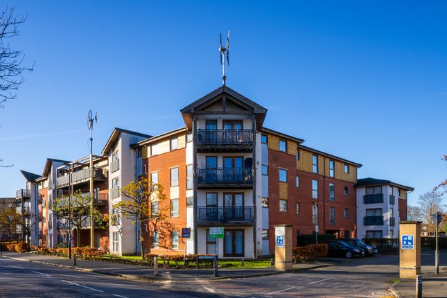 1 bed flat