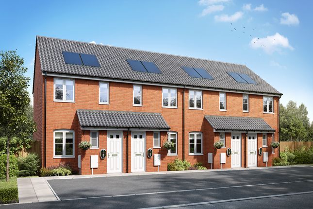 Plot 302, The Alnwick at The... 2 bed end of terrace house for sale