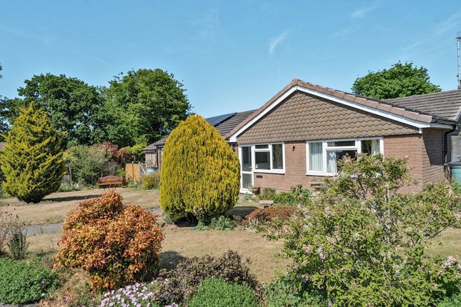 Arun Vale, Coldwaltham, RH20 3 bed bungalow for sale