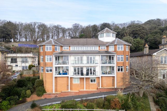 1 bed flat