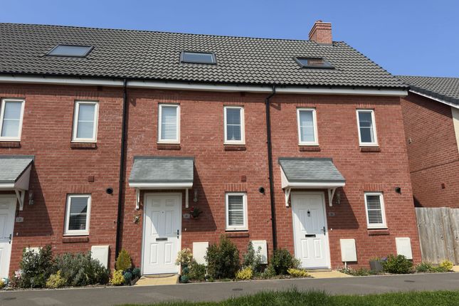 Moorhen Walk, Dawlish, EX7 3 bed terraced house for sale