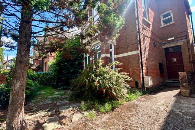 1 bed flat