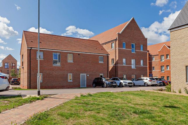 1 bed flat