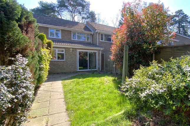 3 bed terraced house