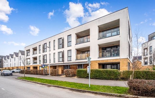 2 bed flat