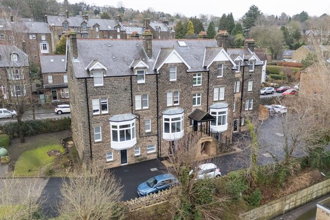 1 bed flat