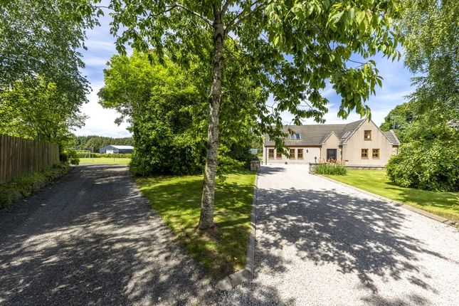 4 bedroom equestrian property for sale