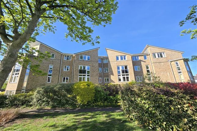 1 bed flat