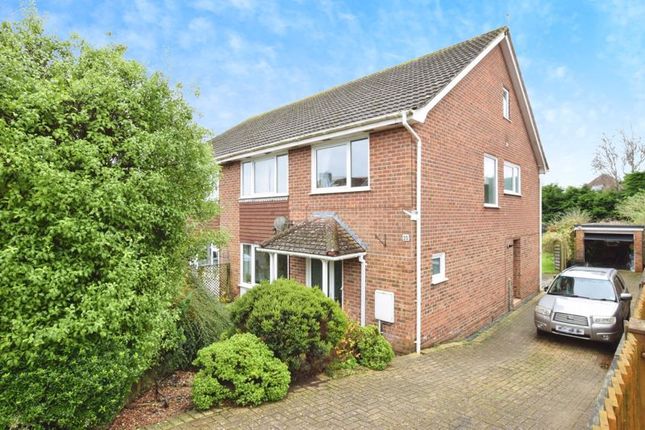 Rosebank Crescent, Pennsylvania, Exeter 5 bed semi