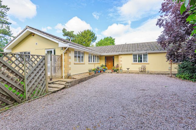 5 bedroom detached bungalow for sale