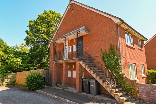 1 bed flat
