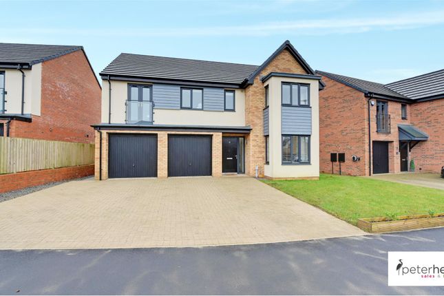 Elder Rise, Potters Hill, Sunderland 5 bed detached house for sale