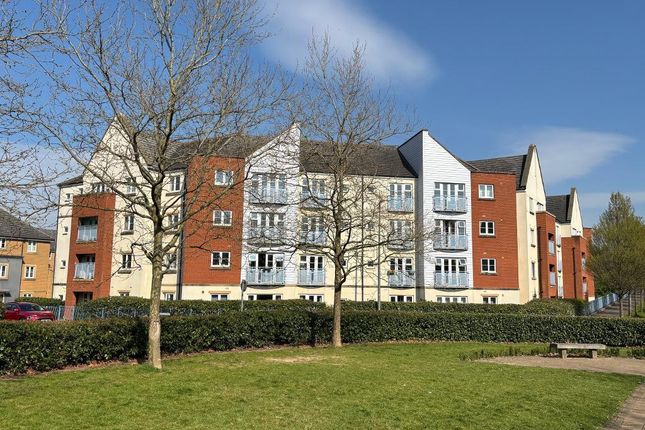1 bed flat