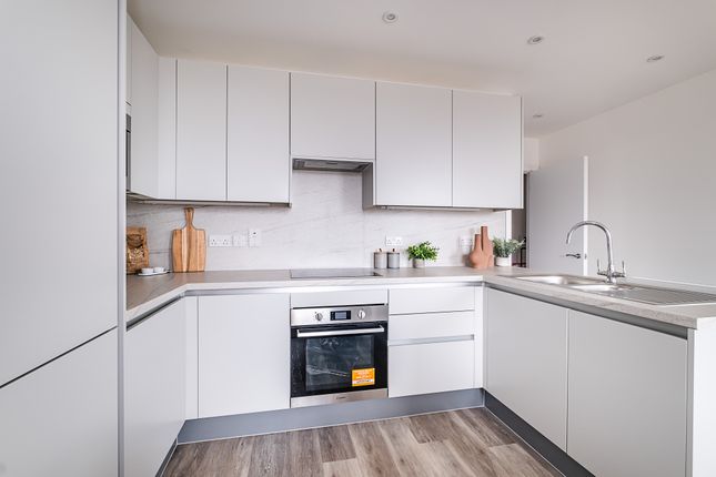 1 bed flat