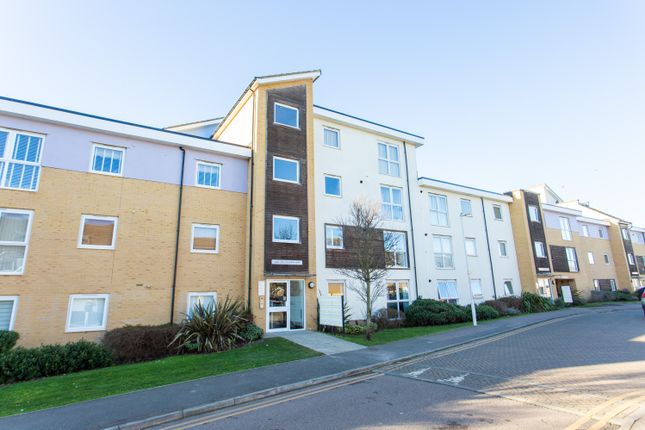 1 bed flat