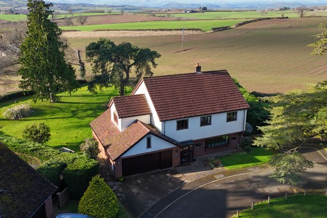 5 bed detached house