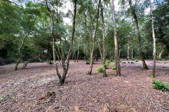 Land for sale