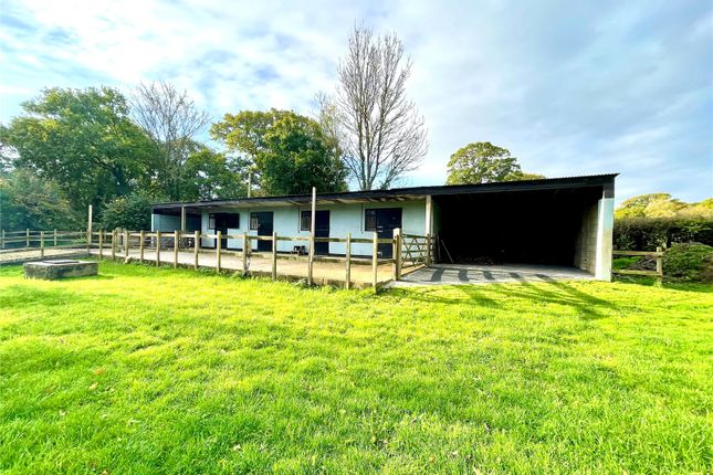 Flexford Lane, Sway, Lymington... Equestrian property for sale