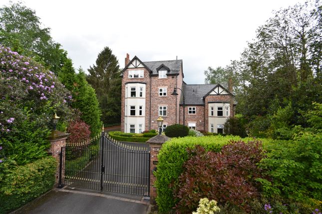 2 bed flat