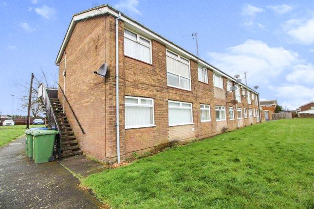 1 bed flat