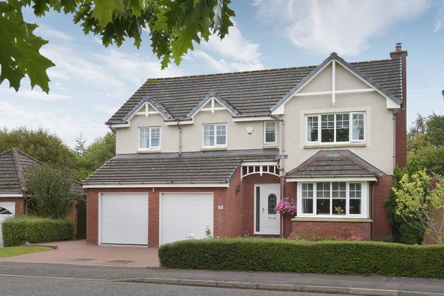 6 bedroom detached house for sale