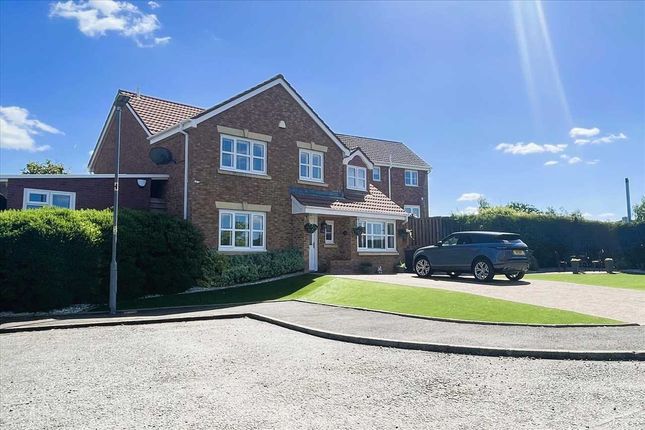 Strathallan Wynd, Hairmyres, EAST... 4 bed detached house for sale
