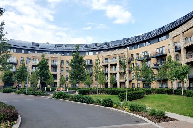 3 bed flat