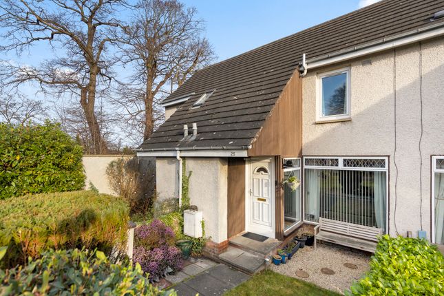 3 bed terraced house